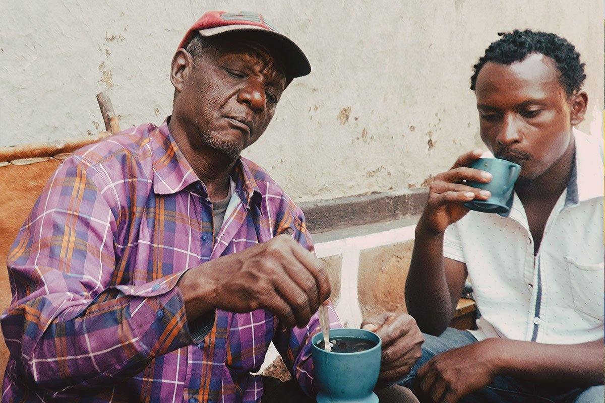 Flavors and unique diversity - Impact Roasters