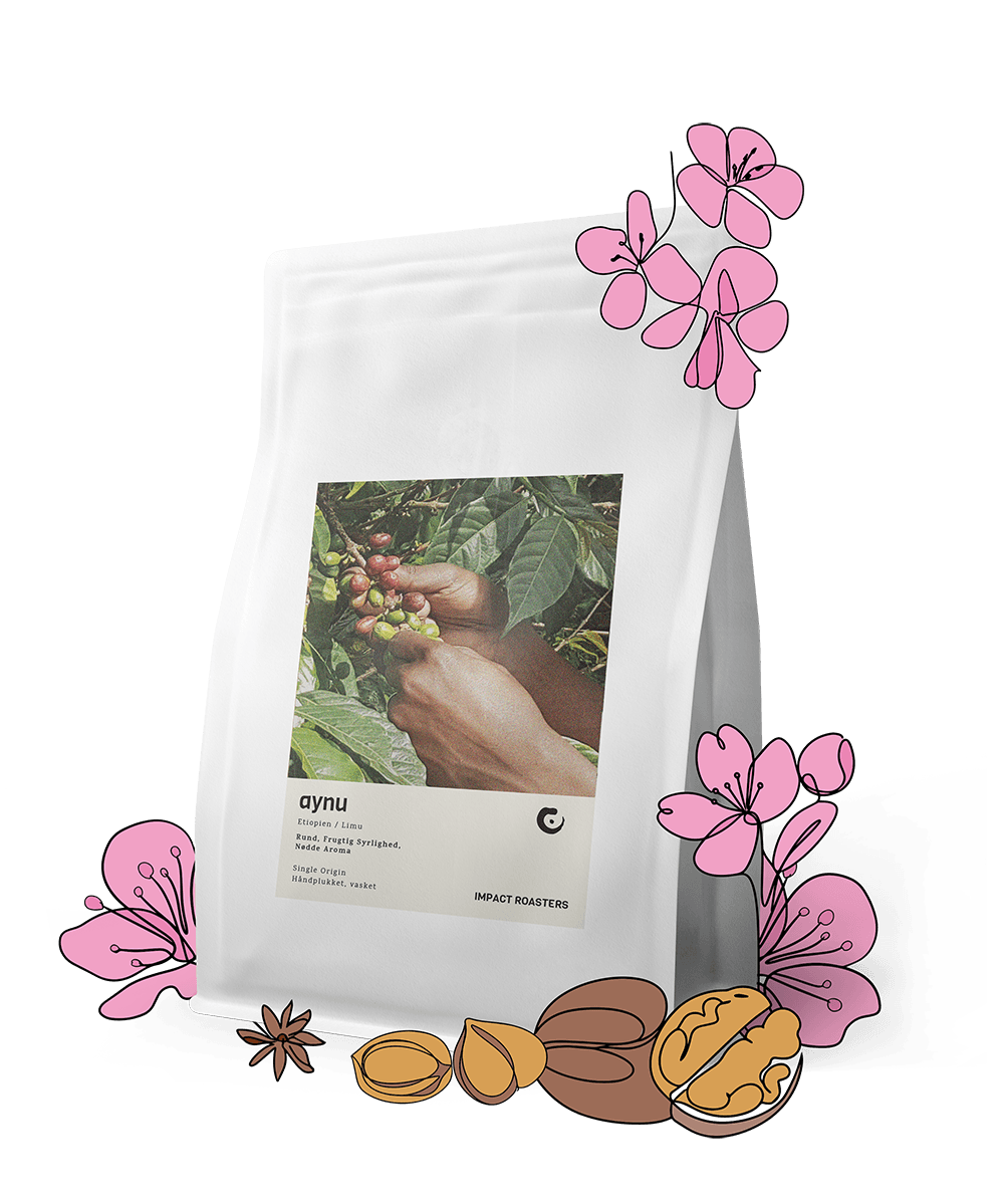 Coffee Beans - AYNU - Limu - Impact Roasters