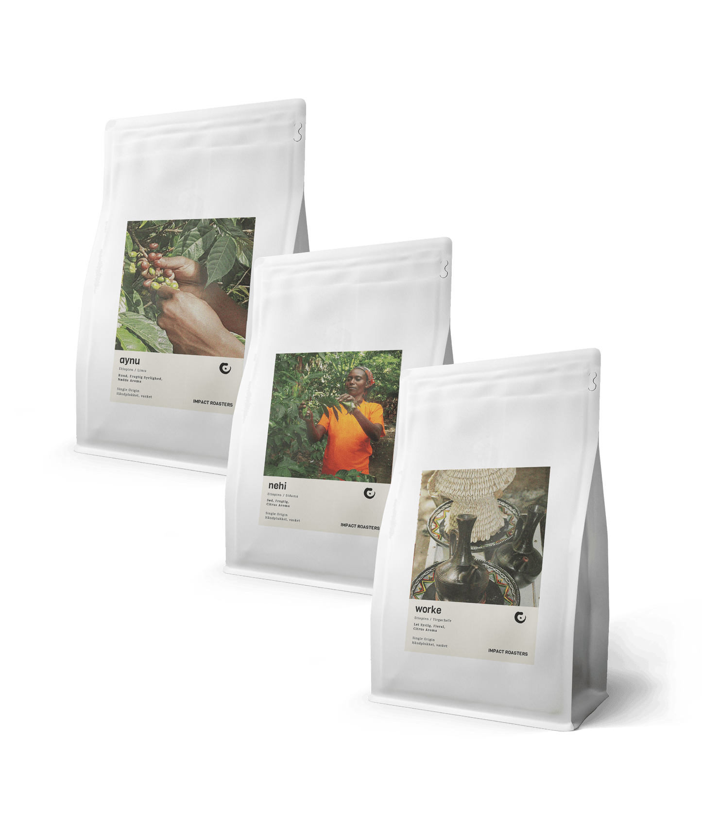 Filter Trio – 3 x 200g Medium Roasted - Impact Roasters
