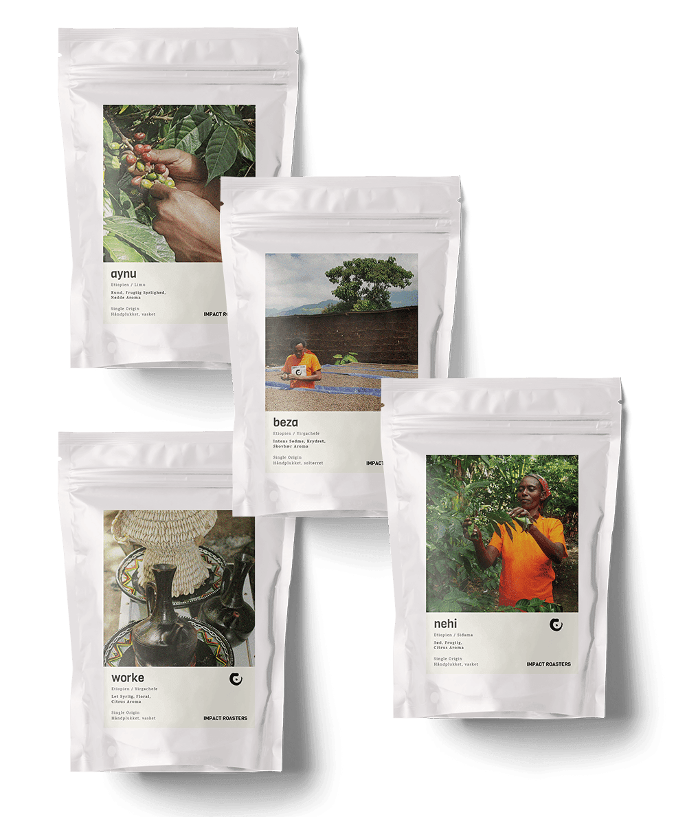 Ethiopian Filter Coffee Taster, Freshly Roasted in Copenhagen – Impact  Roasters