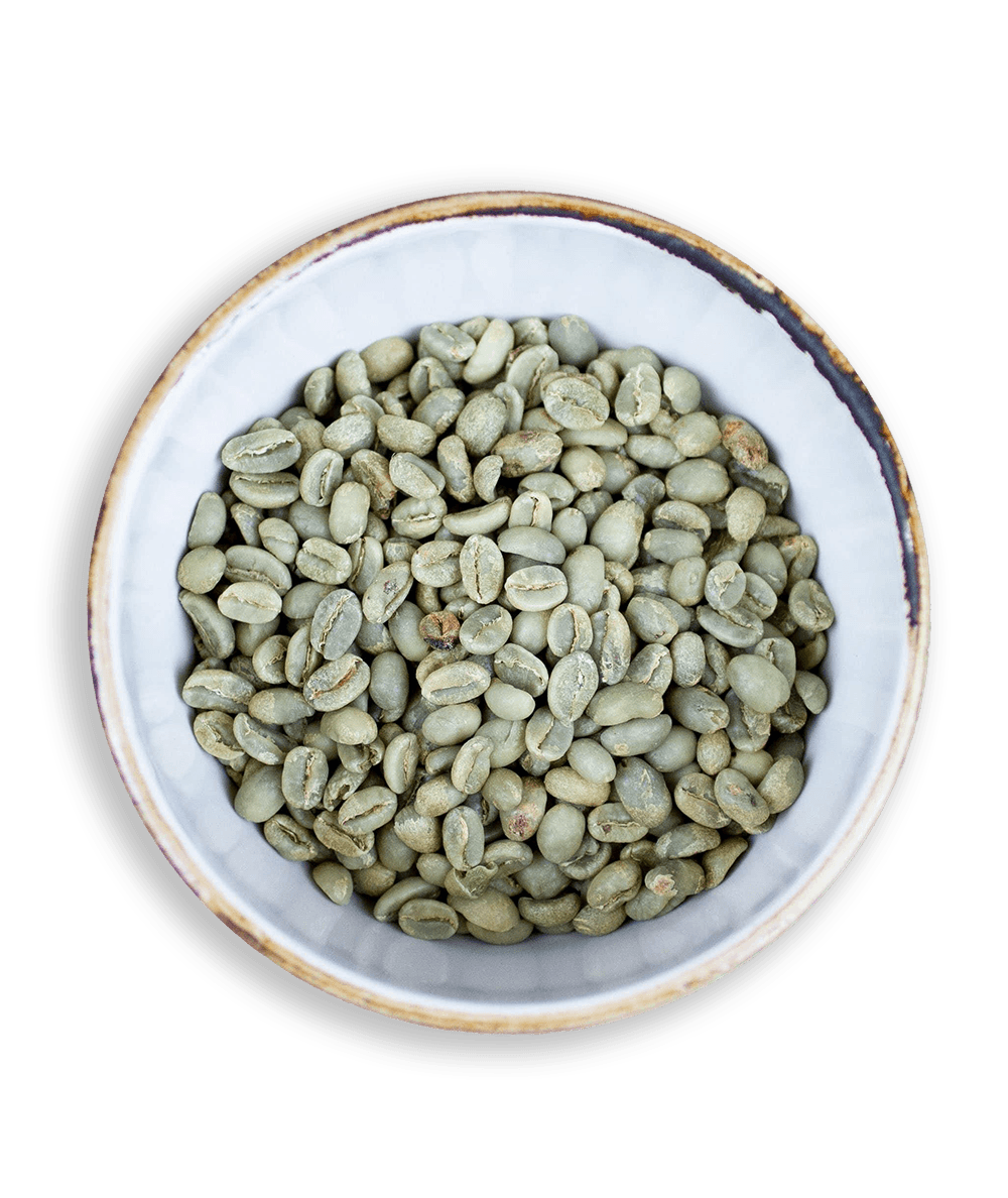 Green Coffee Beans - Impact Roasters