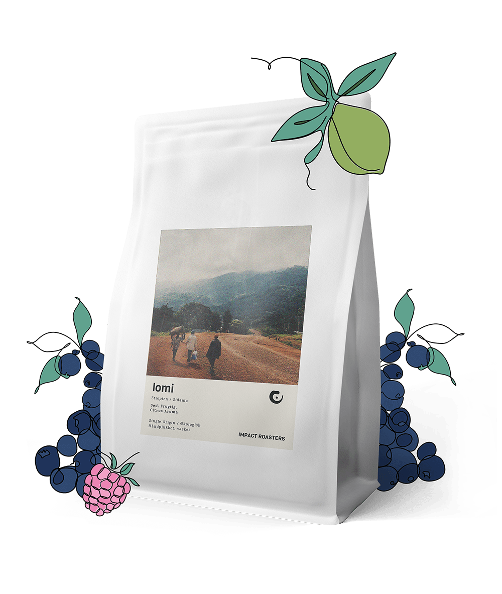 Coffee Beans - LOMI – Sidama - Impact Roasters