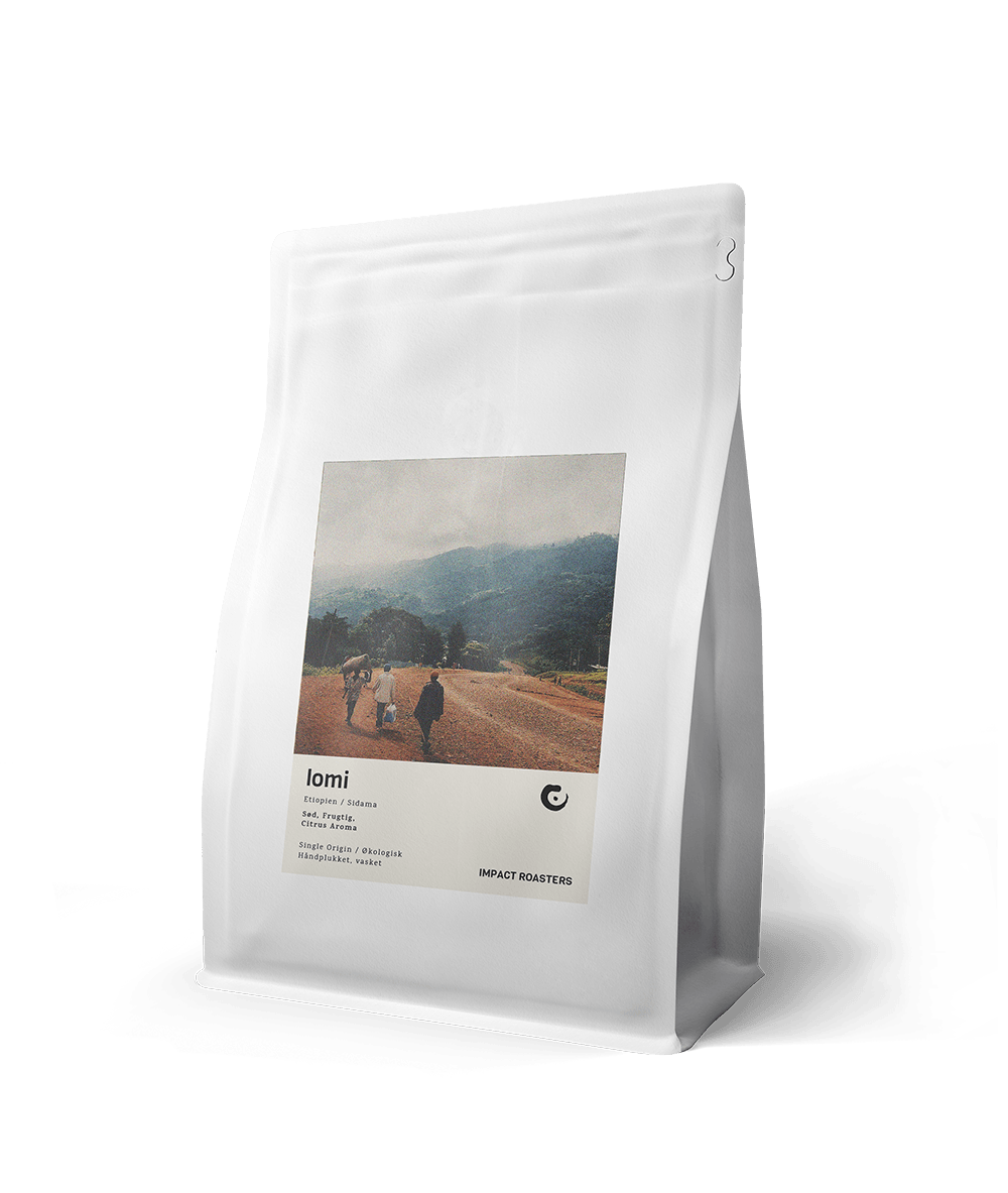 Coffee Beans - LOMI – Sidama - Impact Roasters