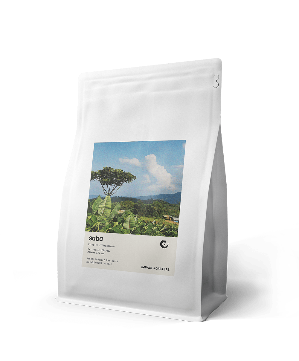 Coffee Beans - SABA – Yirgachefe - Impact Roasters