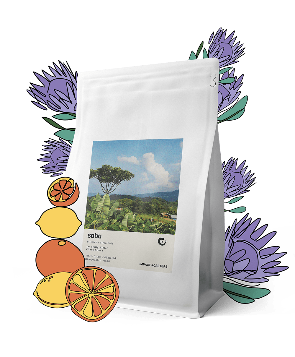Coffee Beans - SABA – Yirgachefe - Impact Roasters