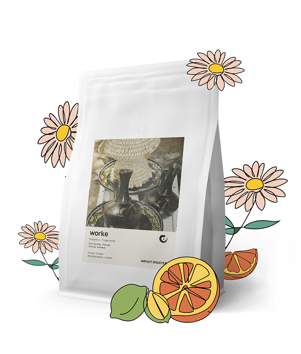 Coffee Beans - WORKE – Yirgachefe - Impact Roasters