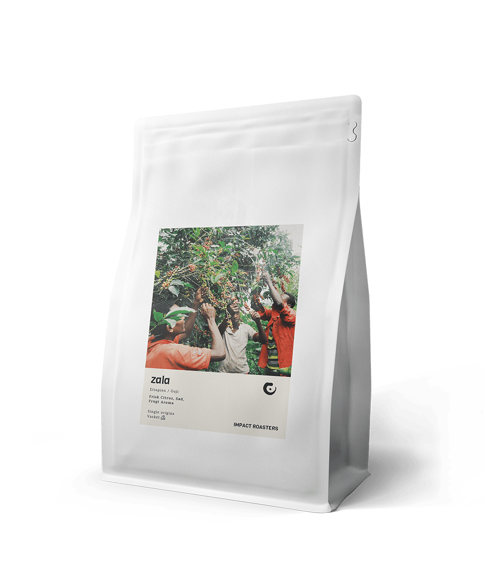 Coffee Beans - ZALA - Guji - (NEW) - Impact Roasters