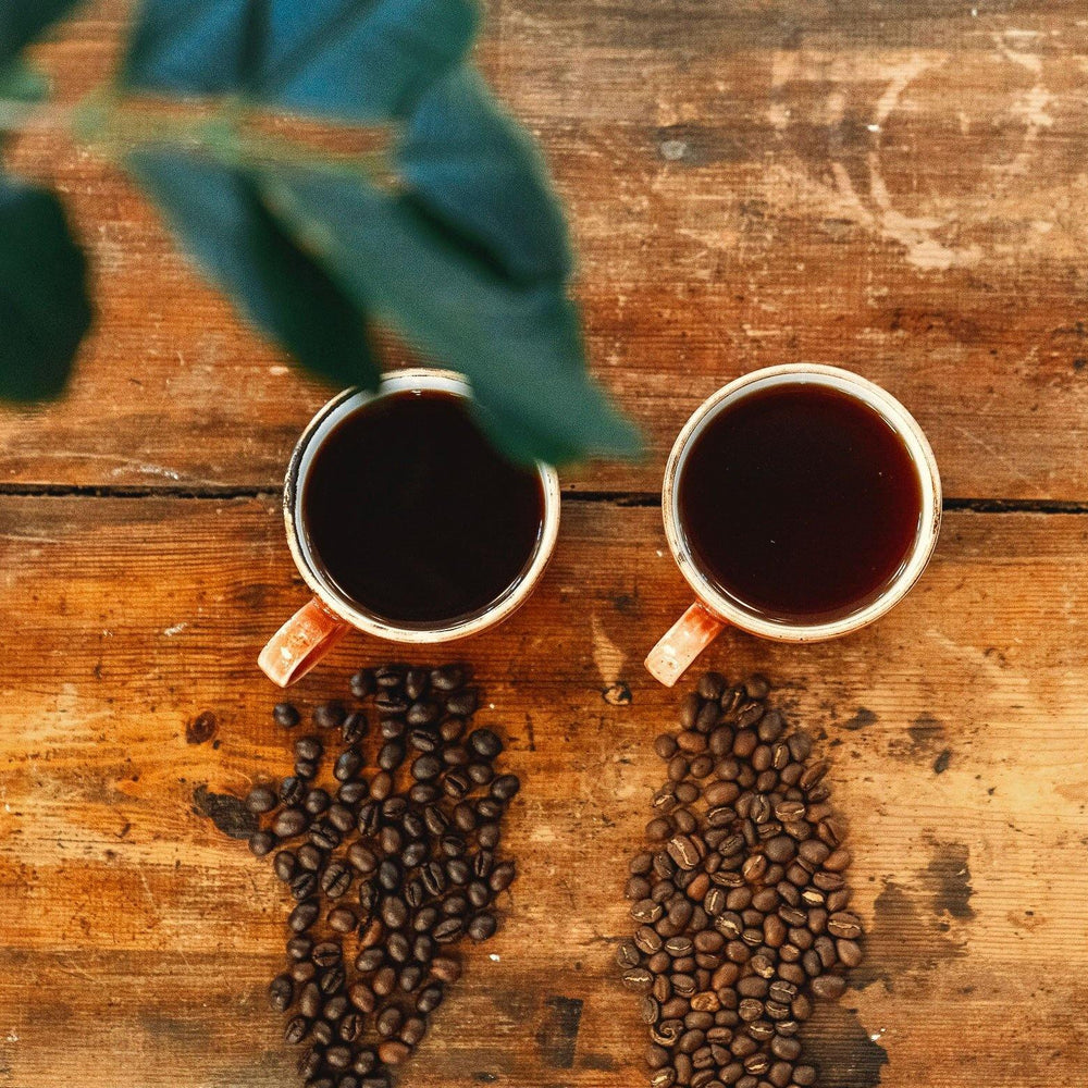 Arabica vs. Robusta - Impact Roasters