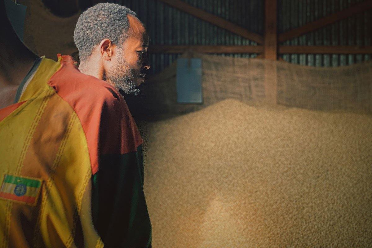 Coffee price and the market game - Impact Roasters
