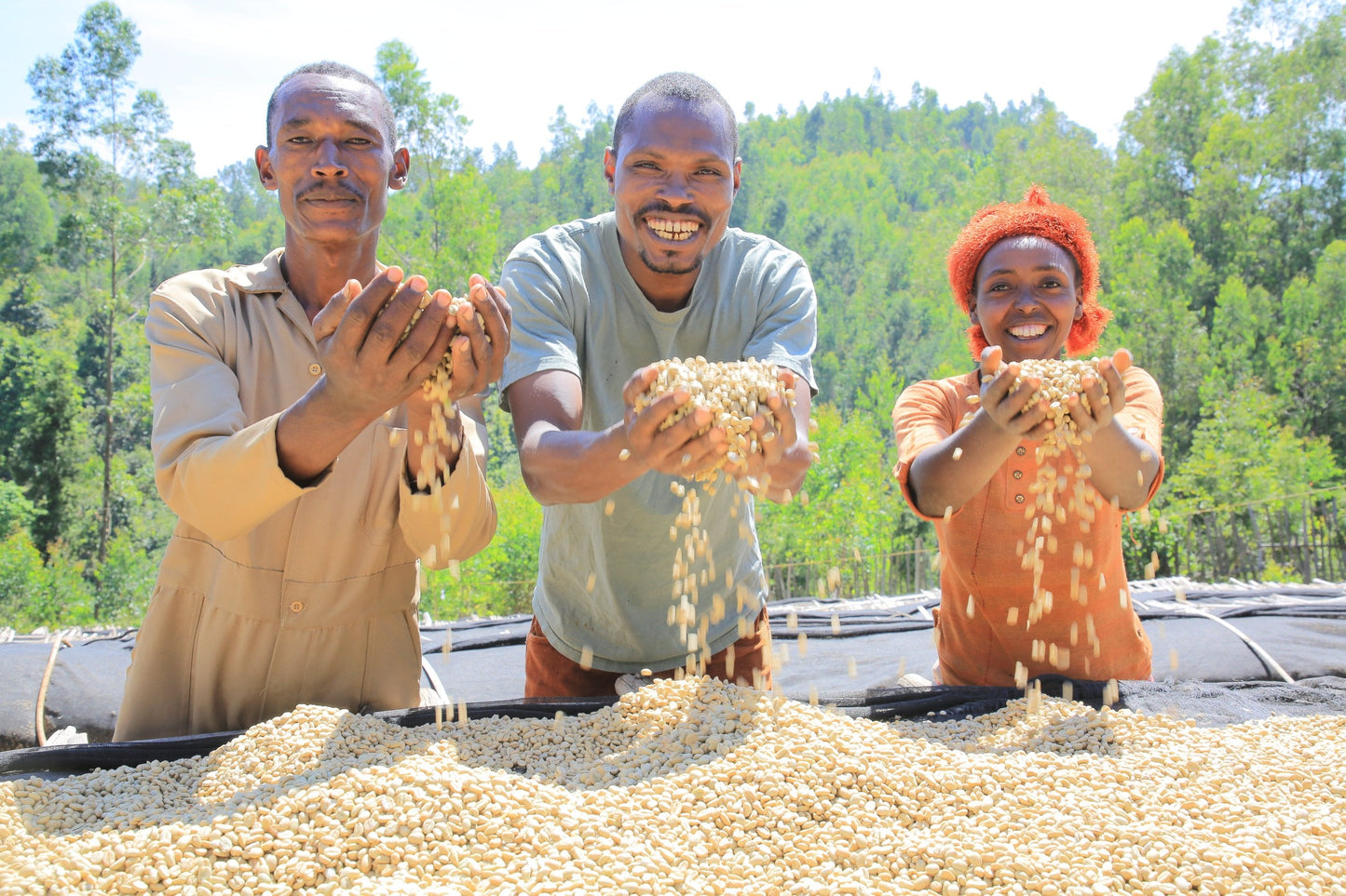 We are Refining our Organic Practices - Impact Roasters