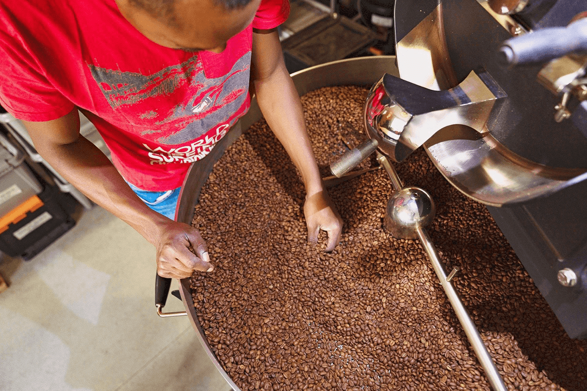 All the basics to know about coffee roasting - Impact Roasters
