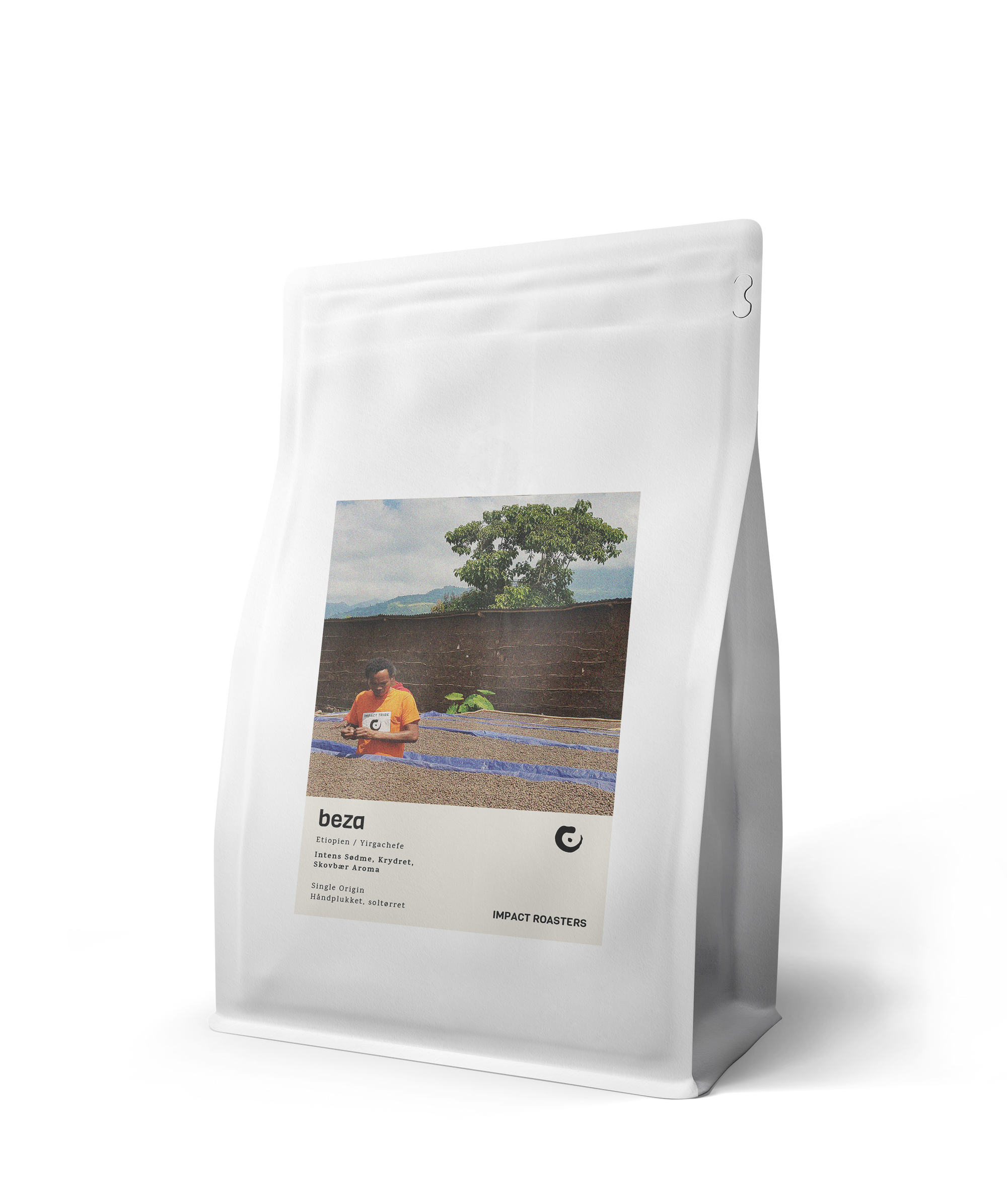 Coffee Beans - BEZA - Yirgachefe - Impact Roasters