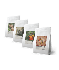 Christmas Filter Pack – Holiday Coffee Deal