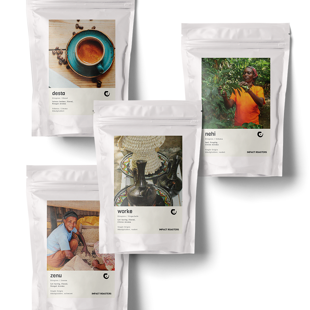 Coffee Taster - Espresso - Impact Roasters