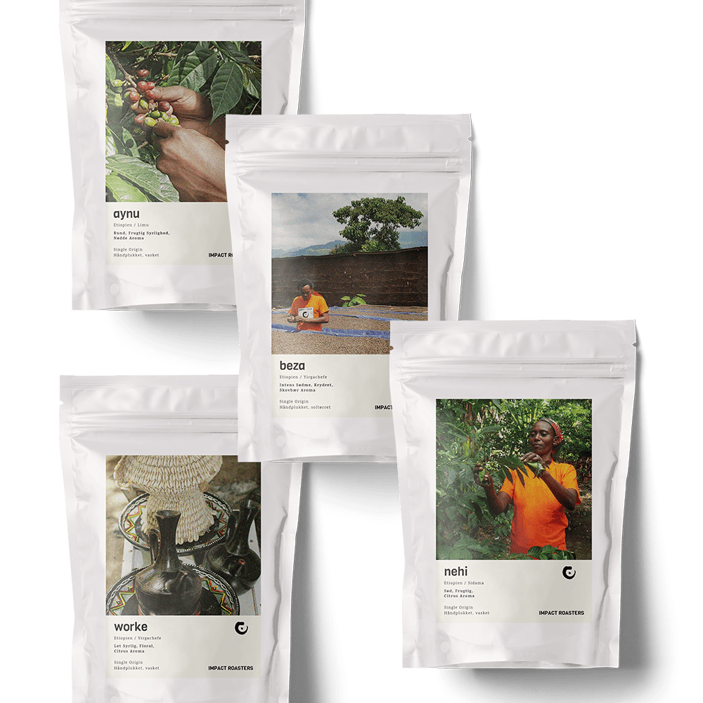 Coffee Taster - Filter - Impact Roasters