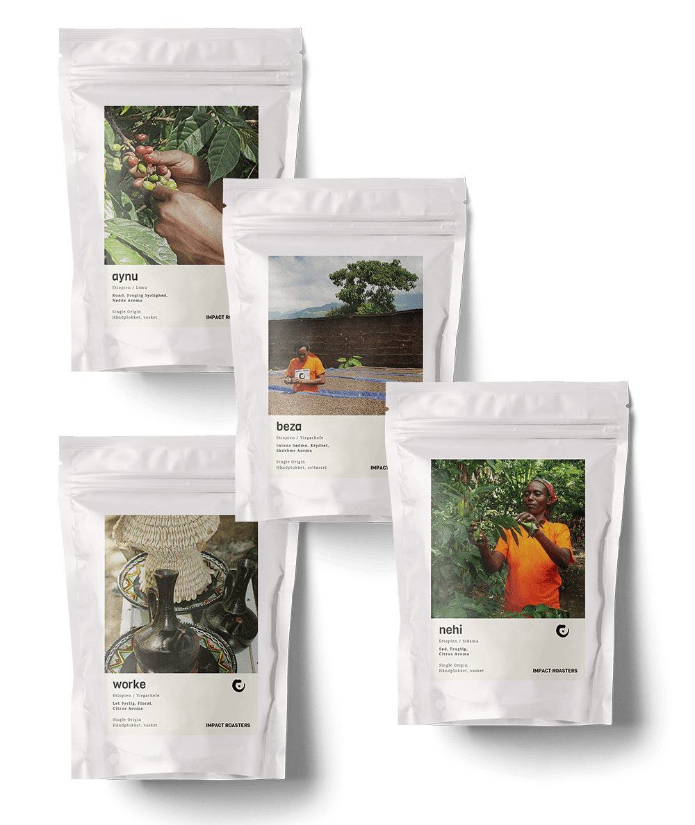Coffee Taster - Filter - Impact Roasters