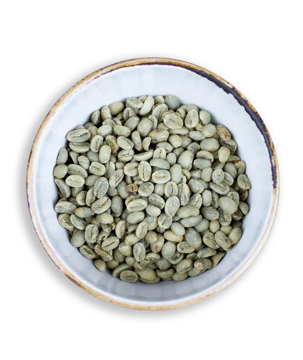 Photo of Green Coffee Beans