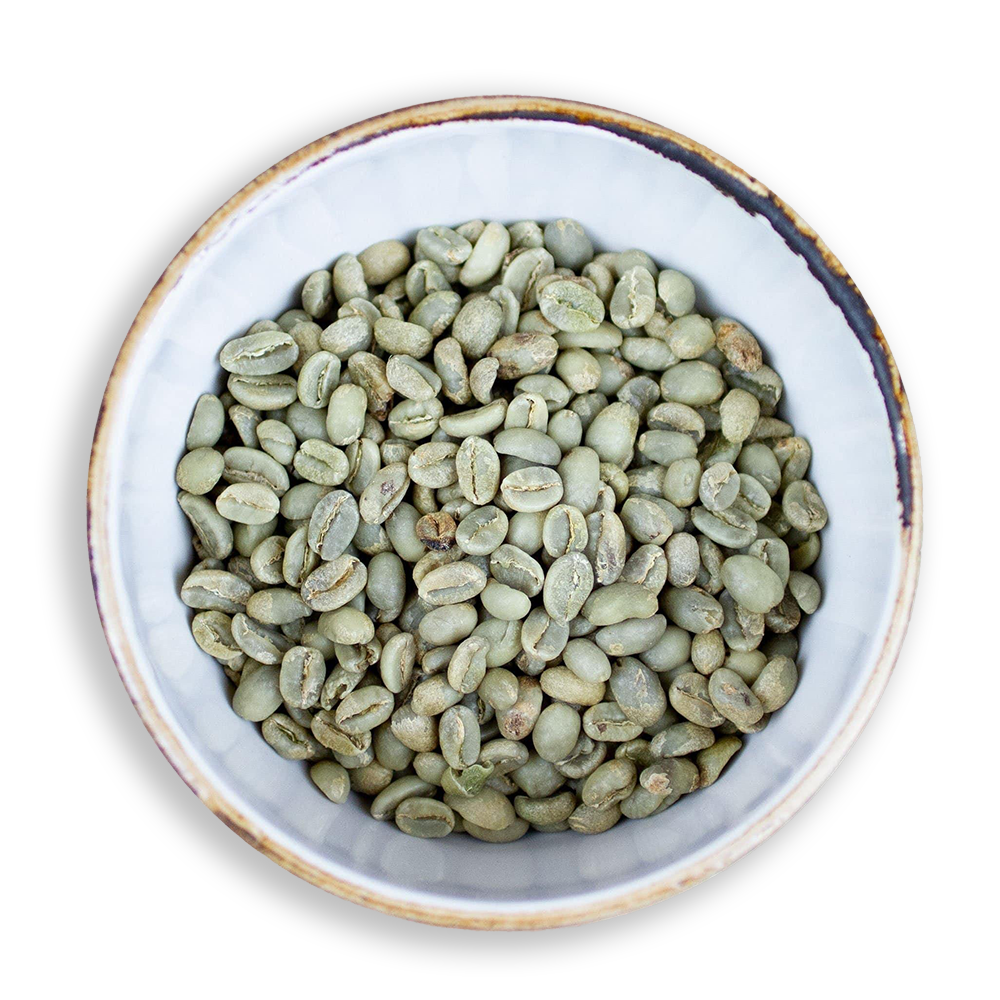 Green Coffee Beans - Impact Roasters