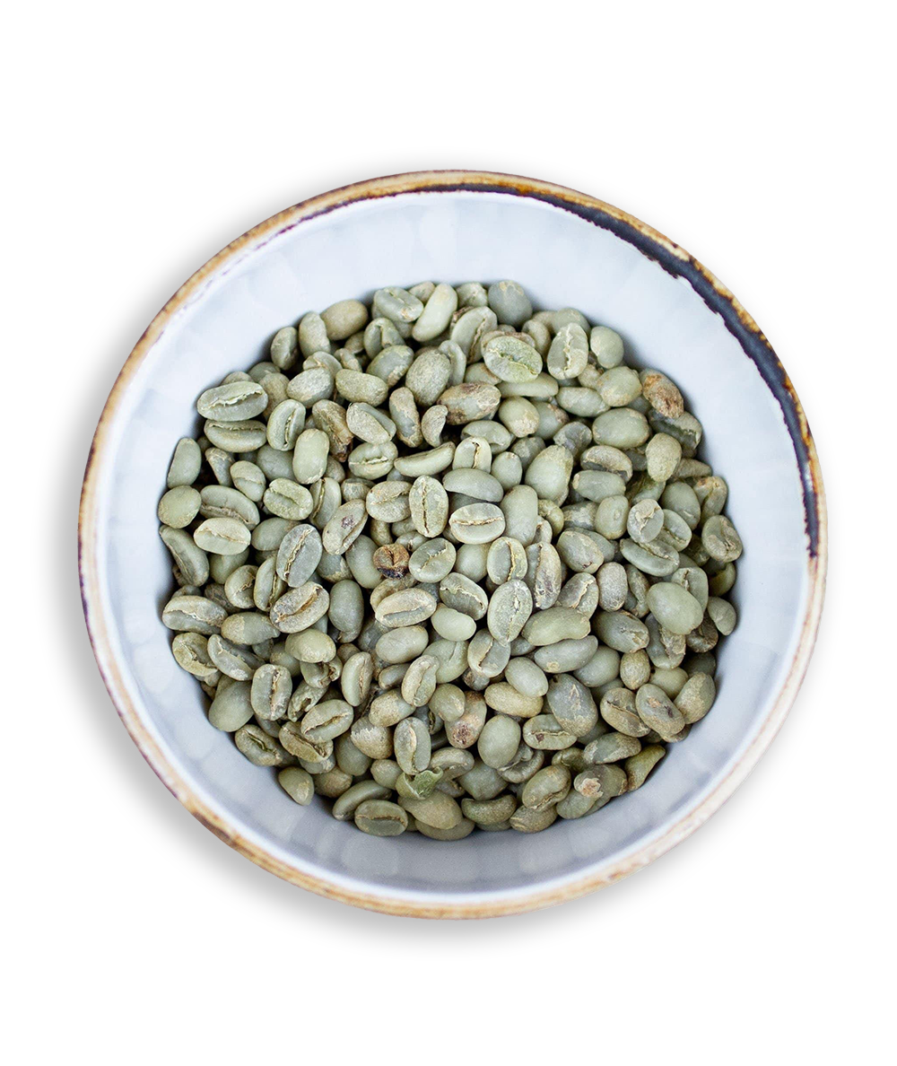 Green Coffee Beans - Impact Roasters