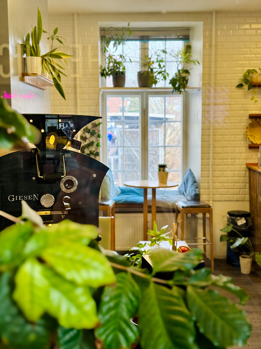 Impact Roasters