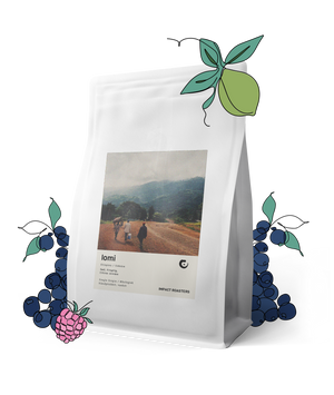 Coffee Beans - LOMI – Sidama