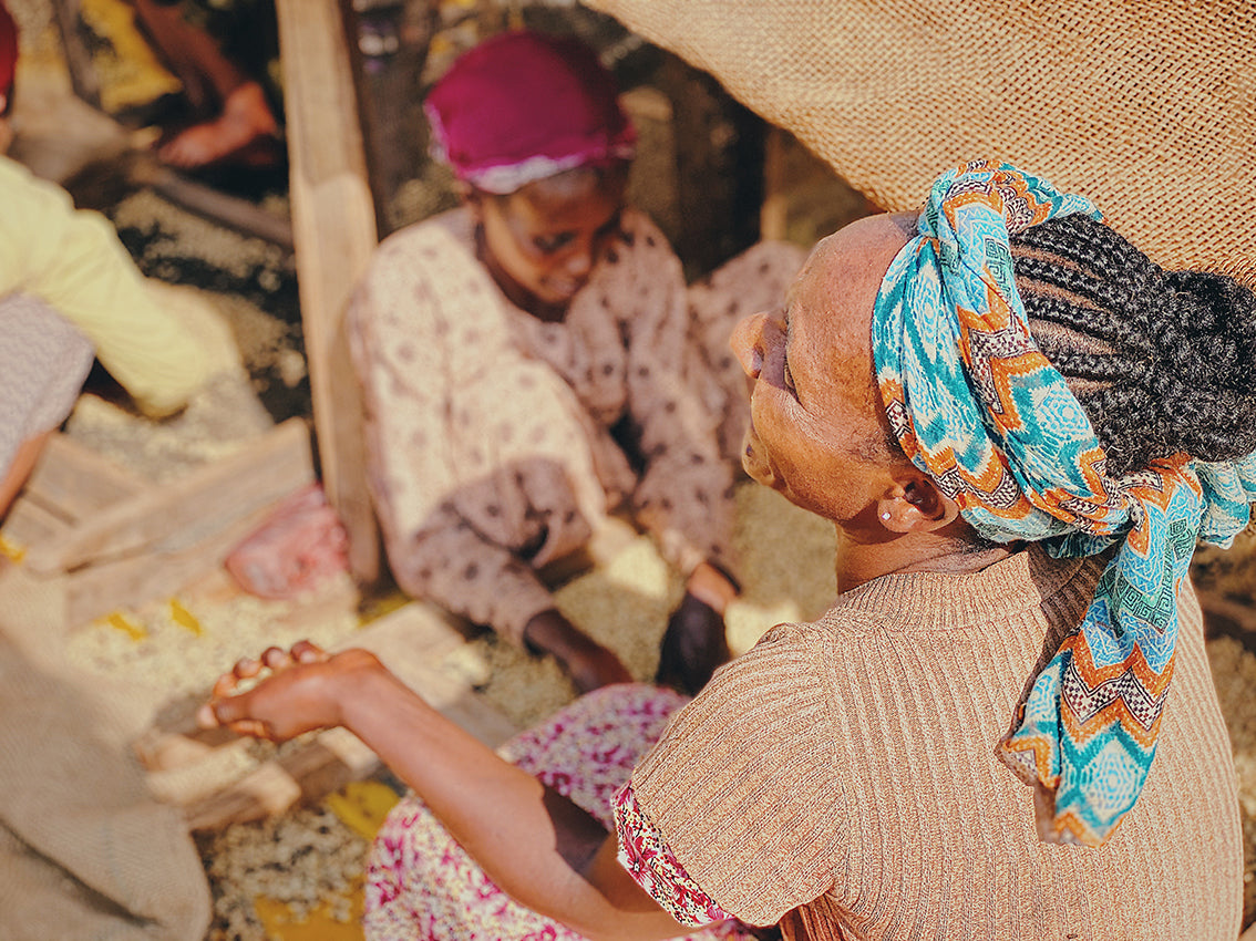 Woman with coffee beans in Ethiopia