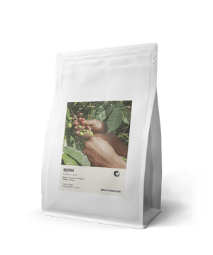 Coffee Beans - AYNU - Limu - Impact Roasters