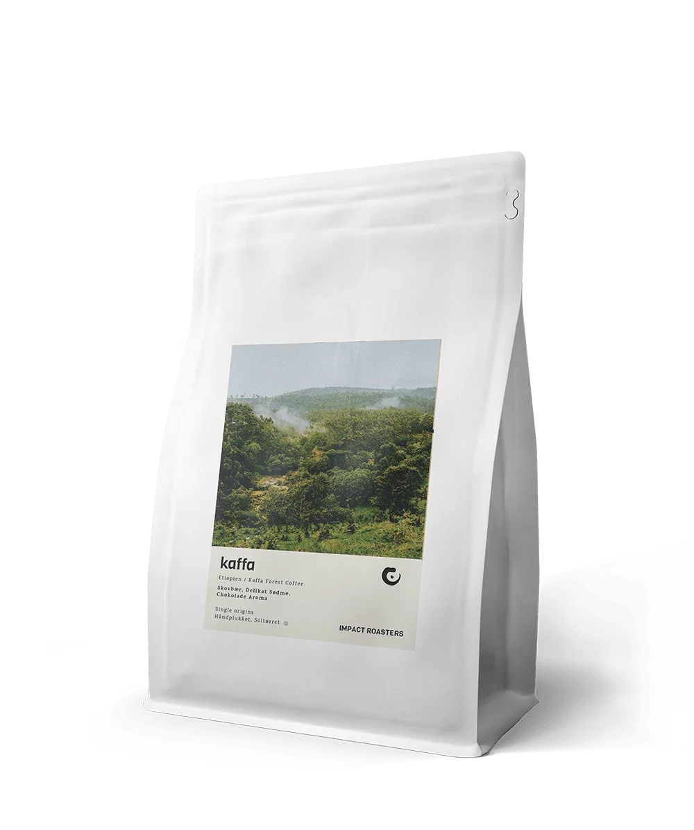 Photo of Coffee Beans Kaffa Forest