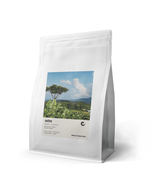 Coffee Beans - SABA – Yirgachefe (organic) - Impact Roasters