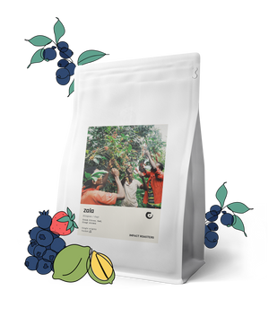 Coffee Beans - ZALA - Guji - (NEW)