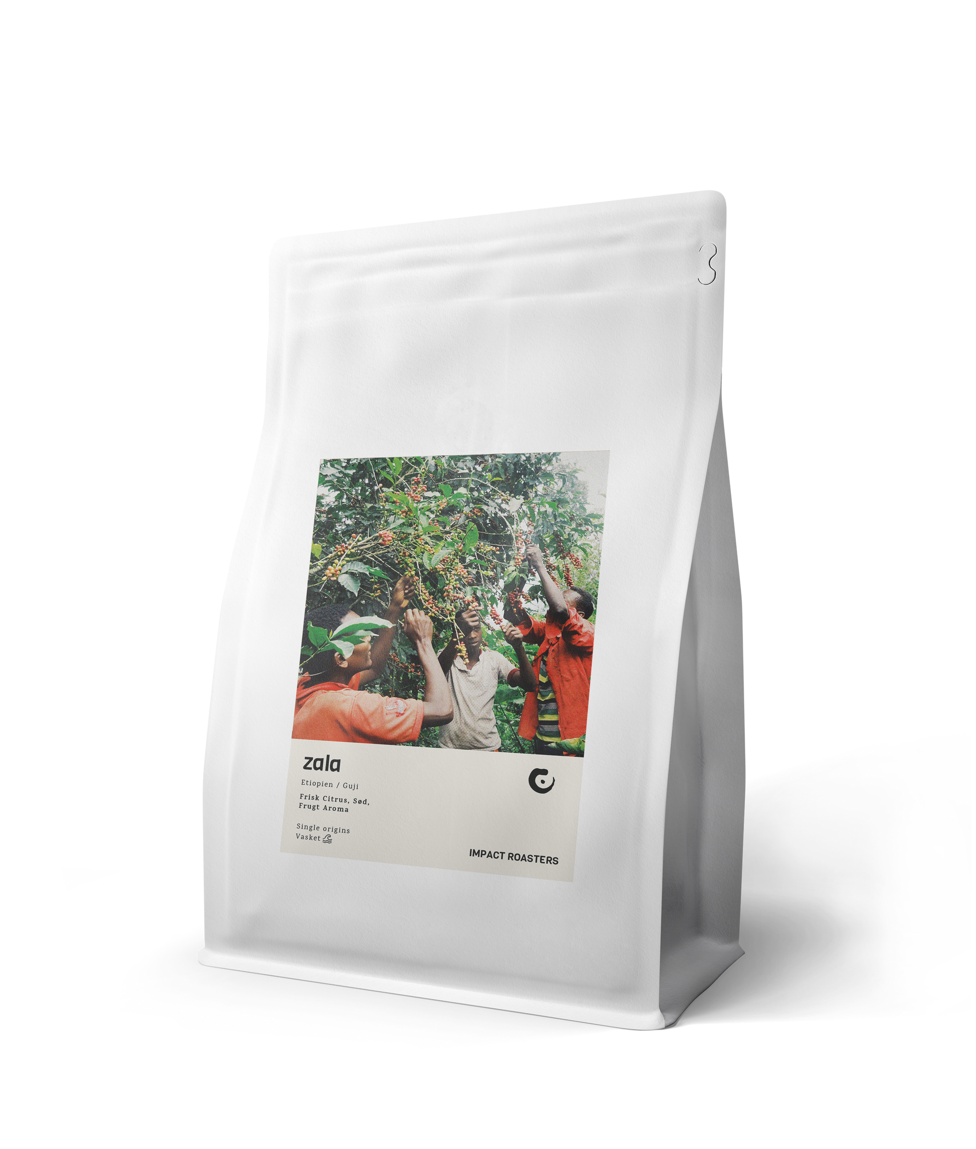 Coffee Beans - ZALA - Guji - organic (NEW) - Impact Roasters