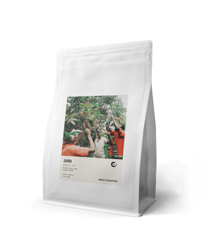 Coffee Beans - ZALA - Guji - organic (NEW) - Impact Roasters